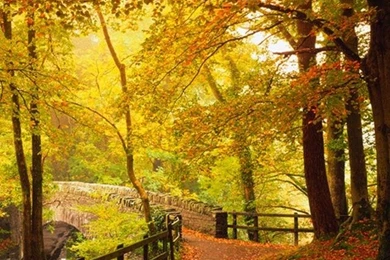 Iphone 5 wallpapers hd 2842 zaxdq.jpg