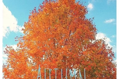 iPhone Wallpapers    On Pinterest