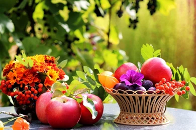 Food HD Wallpaper, Food Images Free