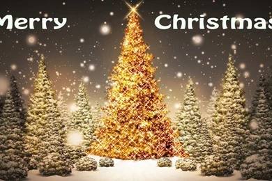 Best Photography Wallpapers Free Download: Happy Xmas Merry ...