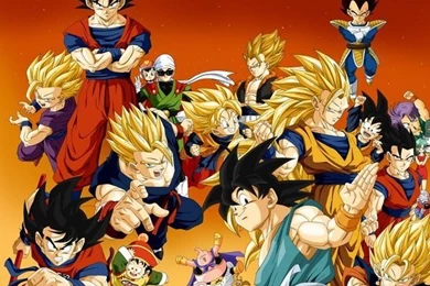 45 Dragon Ball Z Wallpapers Collection