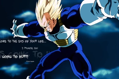 Dragon Ball Z Computer Wallpapers, Desktop Backgrounds