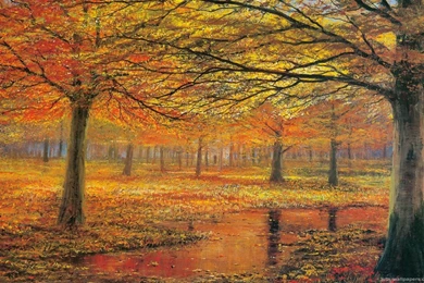 Jackson Pollock Wallpapers