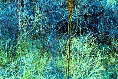 January Is Warm–and Arty