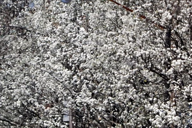 Jackson Pollock As Seen In Nature By Divvvy On DeviantArt