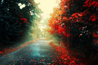 Artistic Wallpapers   Free Art Wallpaperz