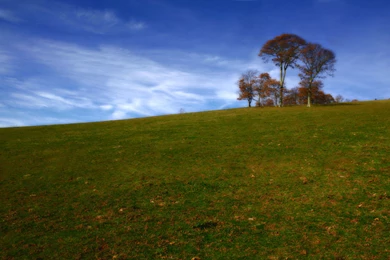 Indian Tree Hill Wallpapers