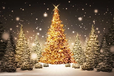 Hd wallpaper of christmas cake hd free wallpapers