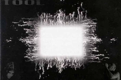 Tool 3   BANDSWALLPAPERS