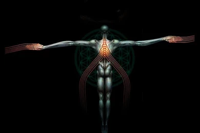 Tool Computer Wallpapers, Desktop Backgrounds