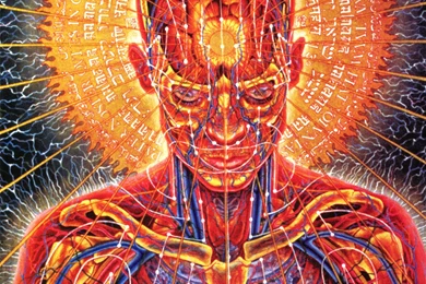 Tool Anatomy Psychedelic Third Eye