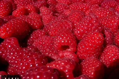 Free Computer Desktop Wallpapers