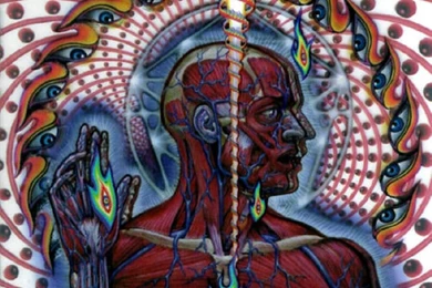 Tool Computer Wallpapers, Desktop Backgrounds