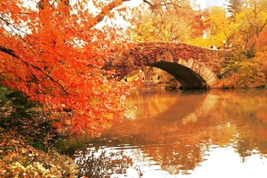 Autumn In New York Wallpapers 2   Seasonal   Crazy Frankenstein