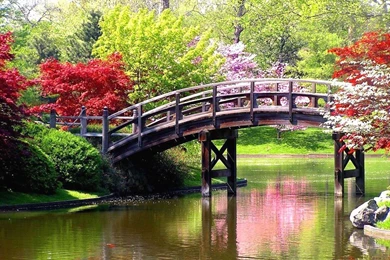 Spring Scene Wallpapers   Crazy Frankenstein