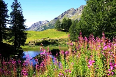 Spring Scenes Desktop Wallpapers   HD Wallpaper Backgrounds Of ...