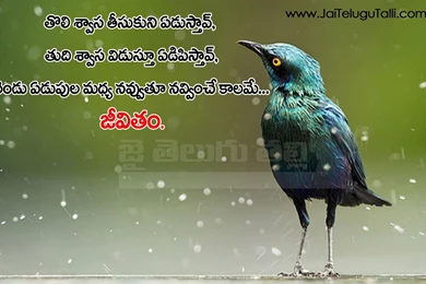 Best Life Quotes And Sayings Images Telugu Quotations And ...