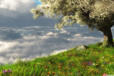 Spring 3D Scene HD Desktop Wallpapers : High Definition ...