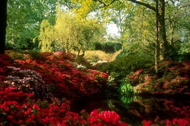 Spring Scenes Pictures Wallpapers HD Base