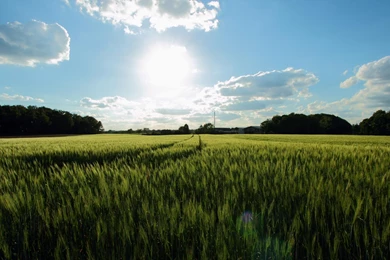 Spring Scene Wallpapers   1445302