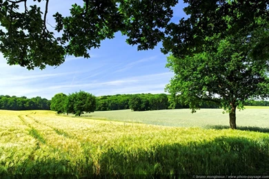 Spring Nature Pictures   Wallpapers High Definition