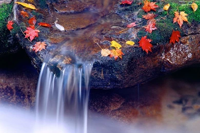 Spring+wallpapers+for+desktop 2.jpg