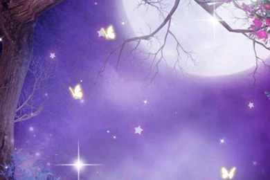 Fairy Flower Live Wallpapers Download   Fairy Flower Live Wallpapers ...