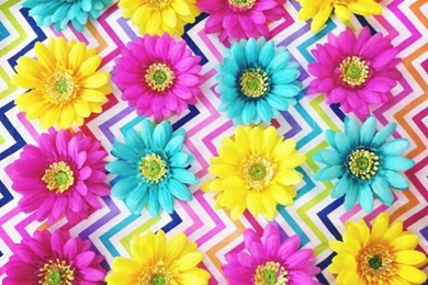 Background, Backgrounds, Blue, Chevron, Colorful   Image