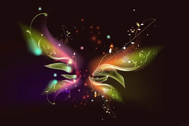 Pretty Butterfly Wallpapers   Wallpapers Cave