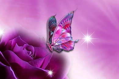 Purple Butterfly Wallpapers   Wallpapers Cave