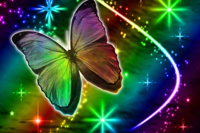 Butterflies Backgrounds, Textures, Wallpapers And Background Images