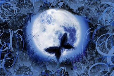 Butterfly Backgrounds By Rusty99Arabian On DeviantArt