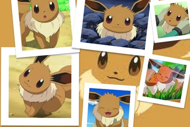 Eevee Wallpapers By MsAmburrito On DeviantArt