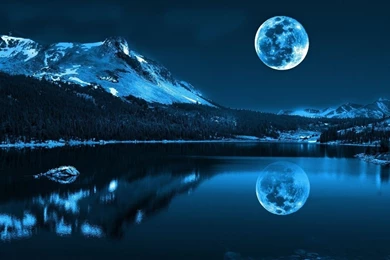 Download Moonlight Night Wallpapers