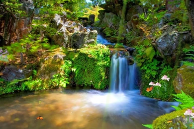 Photo Gallery : Animated Wallpapers Free Downloade Desktop Photo ...