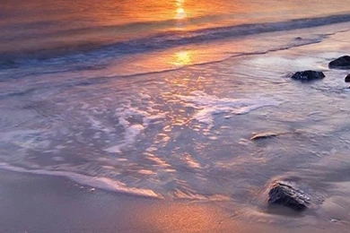 Wallpapers For Iphone 5 Free Download