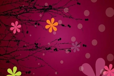 Wallpapers For Iphone 5 Free