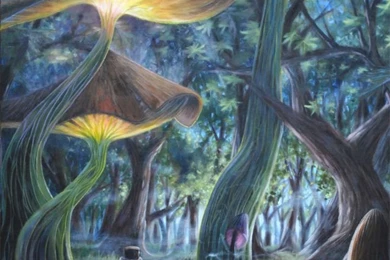 Drink Me Alice And Wonderland iPhone 5 Wallpapers (640x1136)