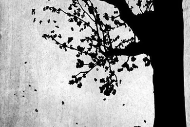 We Are All Mad Here"