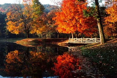 Fall Photos Free   Wallpapers HD Base