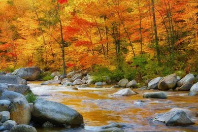 Season Fall Wallpapers HD CuteWallpaper.org