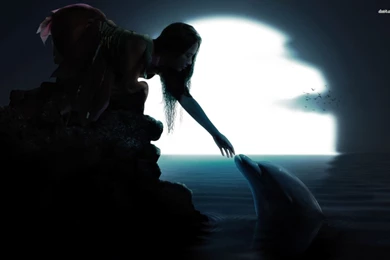 Dolphin And Girl In The Moonlight Wallpapers   Digital Art ...