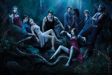 Sexual Obesity   Evangelicals For Social Action