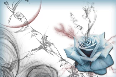 Abstract Rose HD Wallpapers