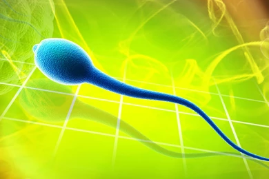 Sperm Abstraction Abstract Bokeh Life Sex Sexual Medical Dna Male ...