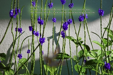 Christian Quotes Wallpapers   Wallpapers Cave