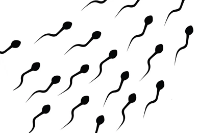 Sperm Abstraction Abstract Bokeh Life Sex Sexual Medical Dna Male ...