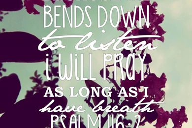 Pretty Christian iPhone Wallpaper. Psalms Is My Favorite Book Of ...