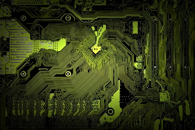 Europe High XP • Cyborg Camo   80% Complete