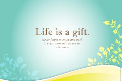 3396 cute life quotes.jpg